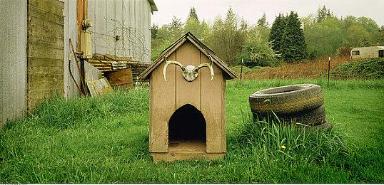 《原神》茜特菈莉角色PV——「她的色彩」